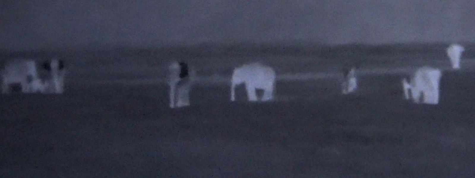 Thermal Cameras on Trains to Stop Elephant Deaths